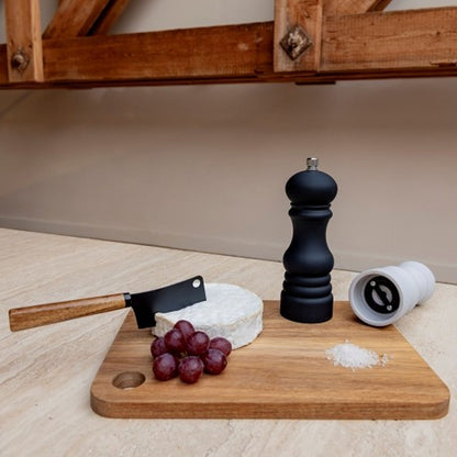 Serveerplank met kaasmes formaat 22 x 2 x 29 cm voor borrelhapjes en kaas